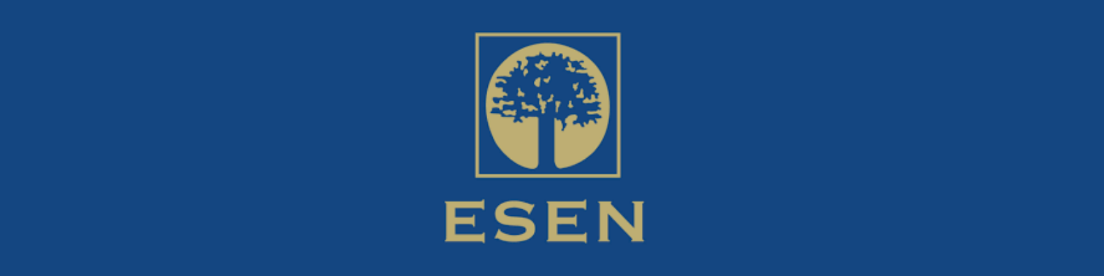 Escuela Superior de Economía y Negocios - ESEN