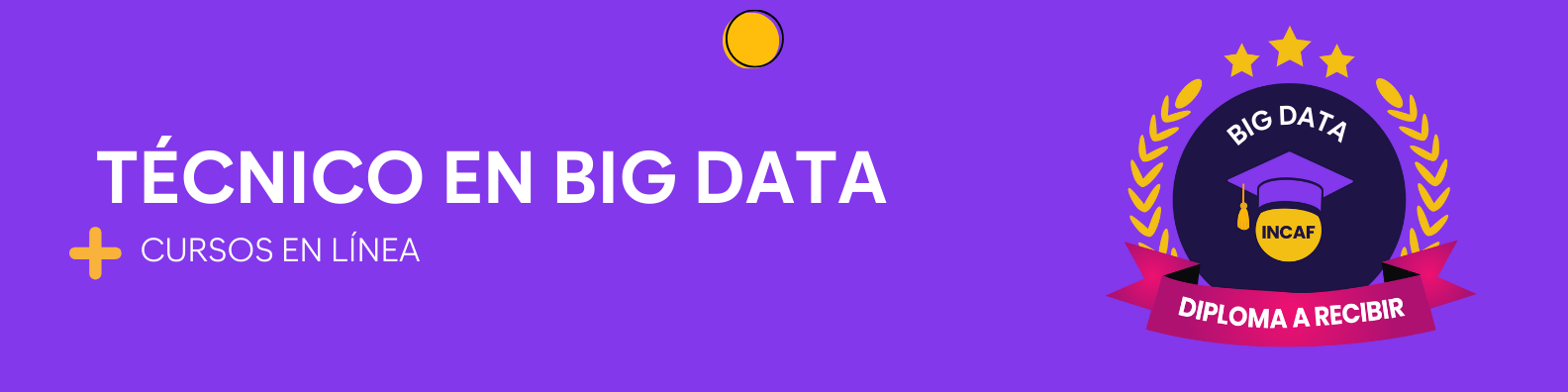Técnico en Big Data