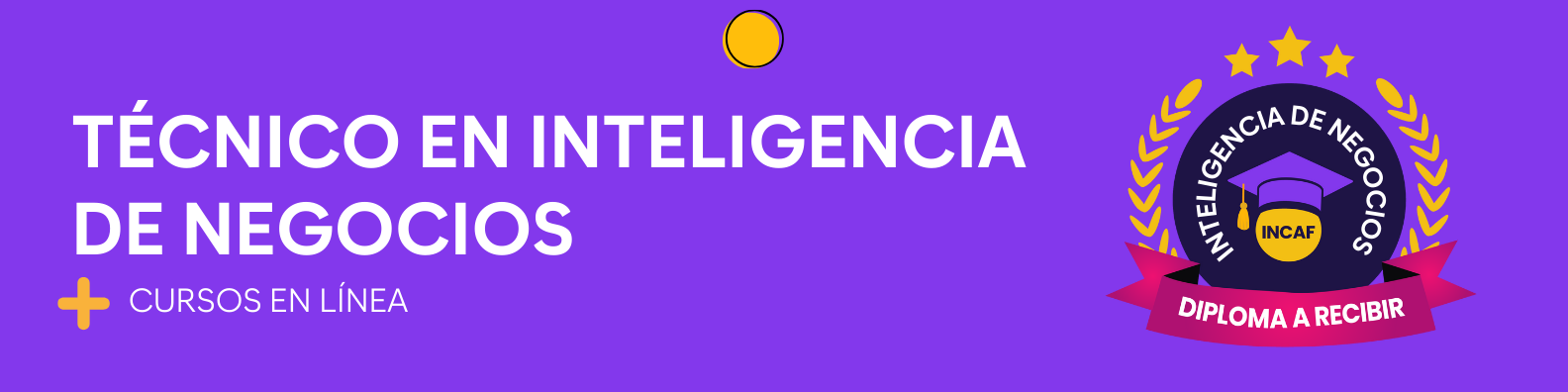 Técnico en inteligencia de negocios