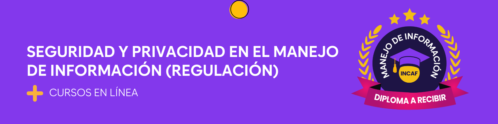 Seguridad y privacidad en el manejo de información (Regulación)