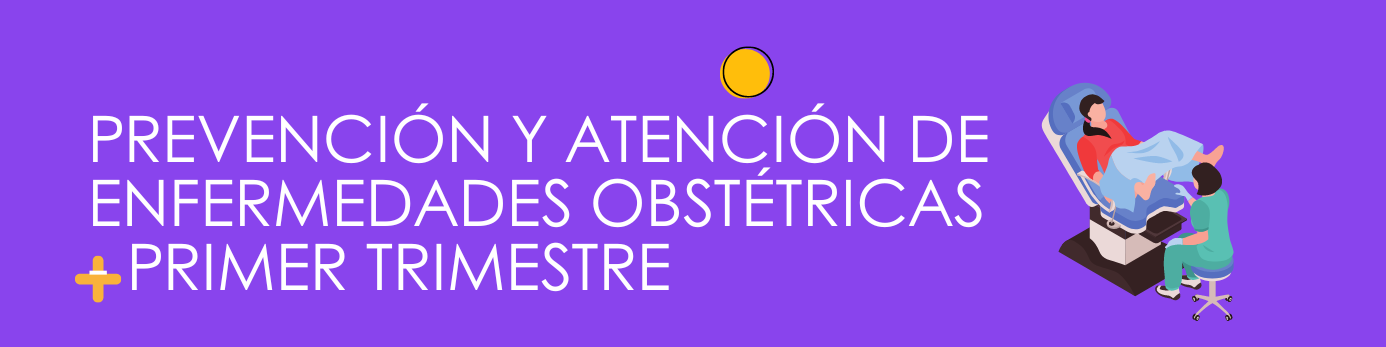 Prevención y Atención de Enfermedades Obstétricas - Primer trimestre