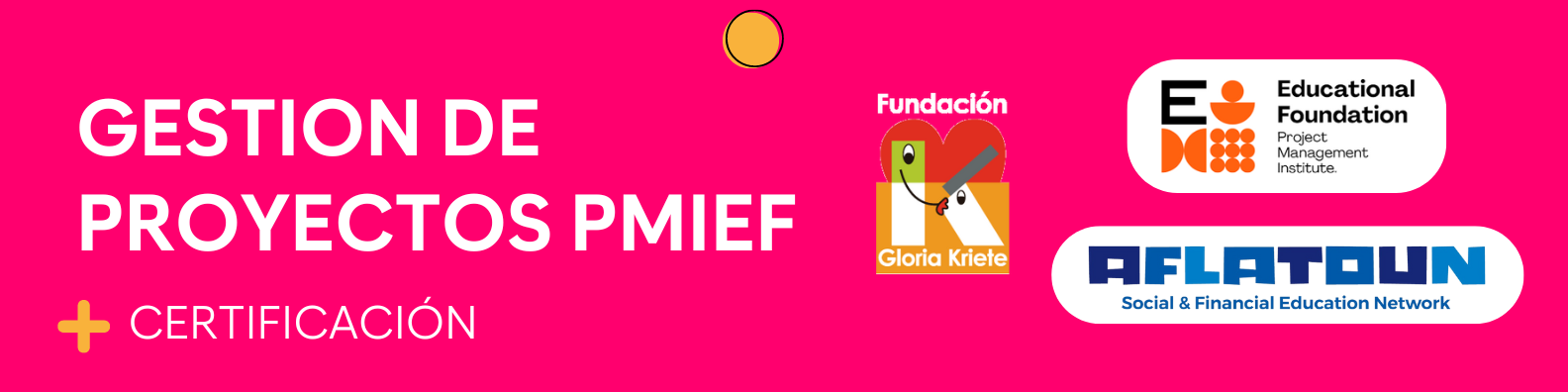 GESTION DE PROYECTOS PMIEF