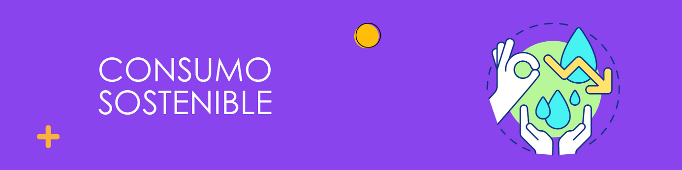 Consumo sostenible
