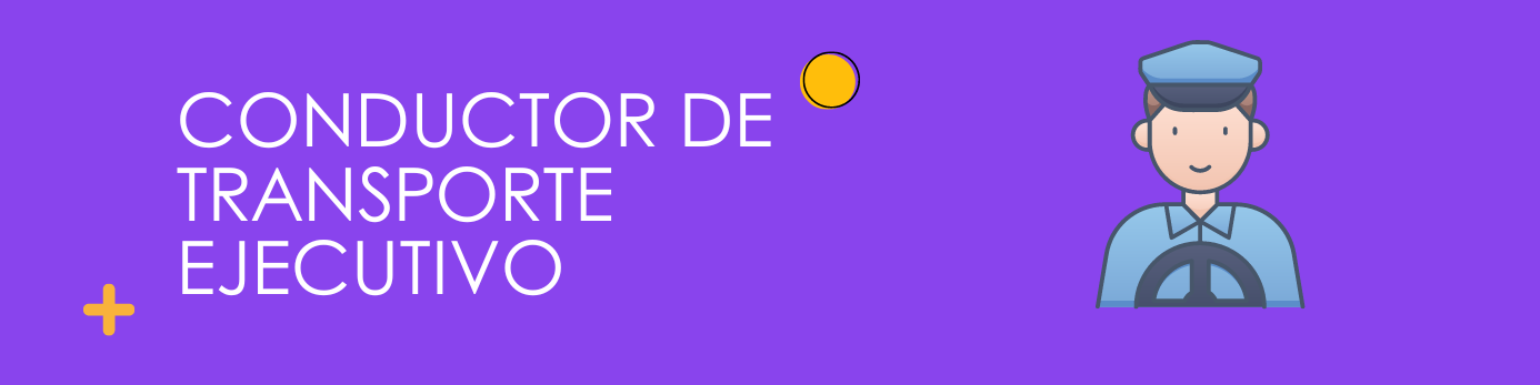 Conductor de Transporte Ejecutivo