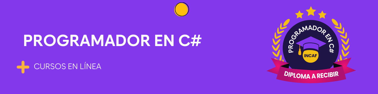 Programador en C#