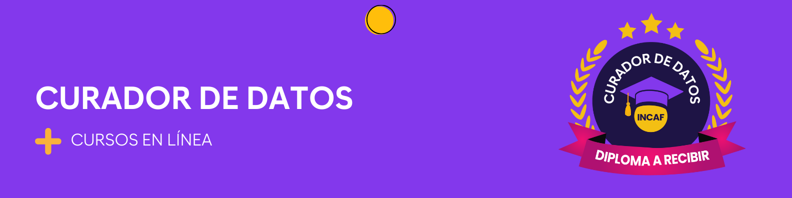Curador de datos
