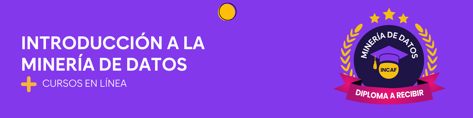 Introducción a la minería de datos