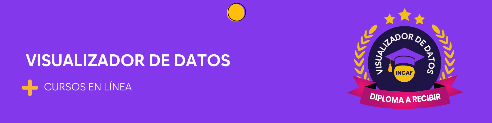 Visualizador de datos