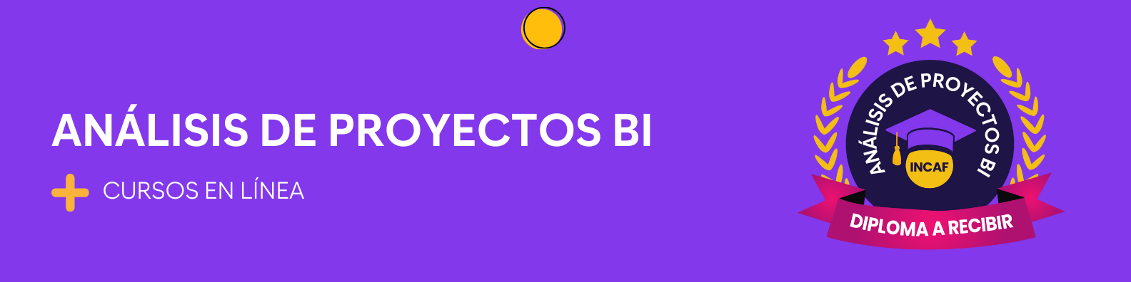 Análisis de proyectos BI