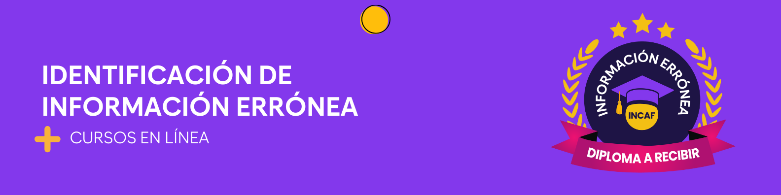 Identificación de información errónea