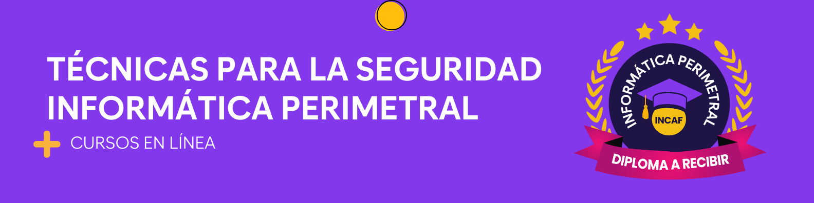 Técnicas para la seguridad informática perimetral