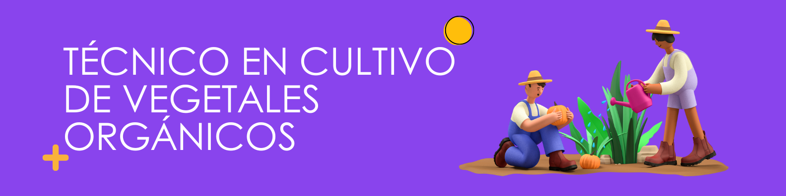 Técnico en cultivo de vegetales orgánicos