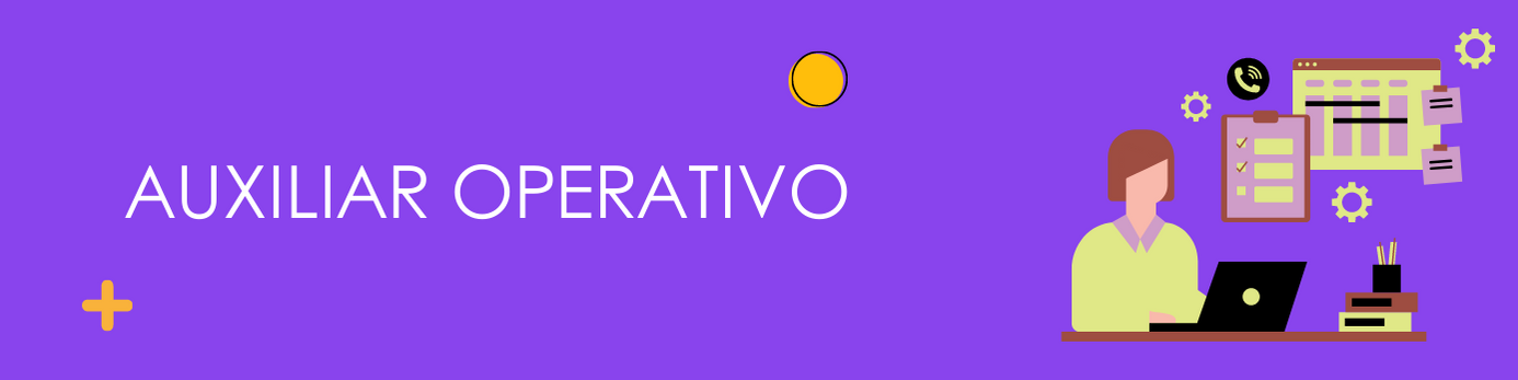 Auxiliar Operativo